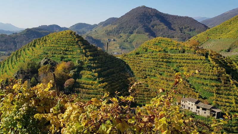 Conegliano & Valdobbiadene Prosecco Hills — UNESCO Wine Landscape
