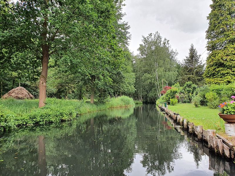 Spreewald — Serene Waterways and Forest Paths