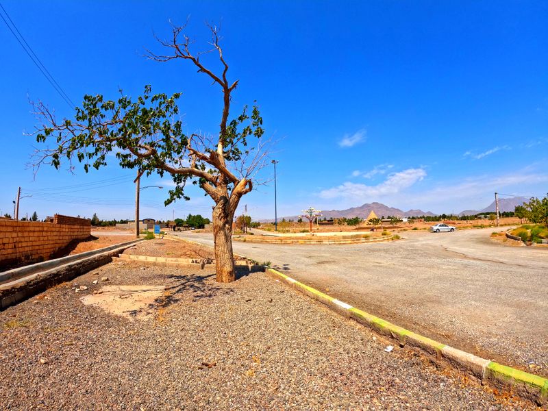 Khar Turan National Park - Iran