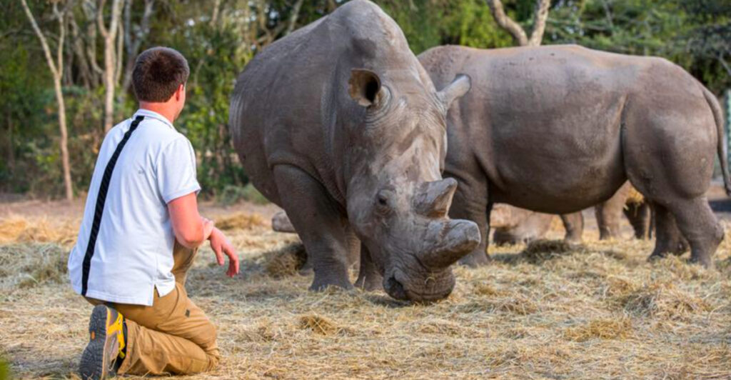 15 Rare Wildlife Spots That Are Off the Beaten Path