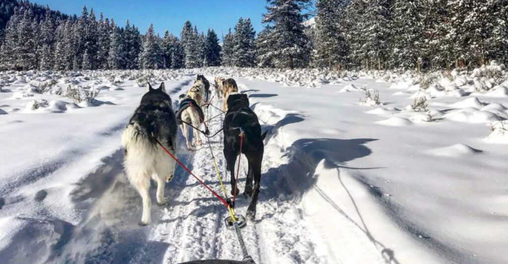 15 Ultra-Cozy Winter Girls’ Trips Worth Planning This Year