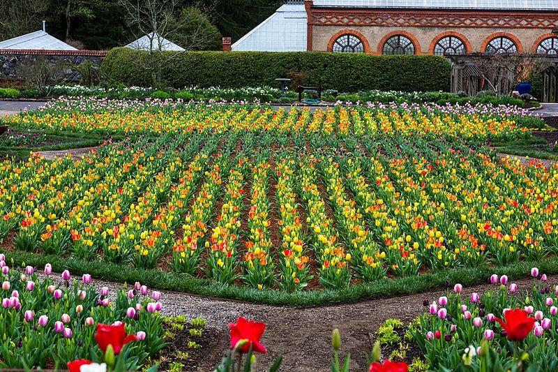 Frederick Law Olmsted's Garden Paradise