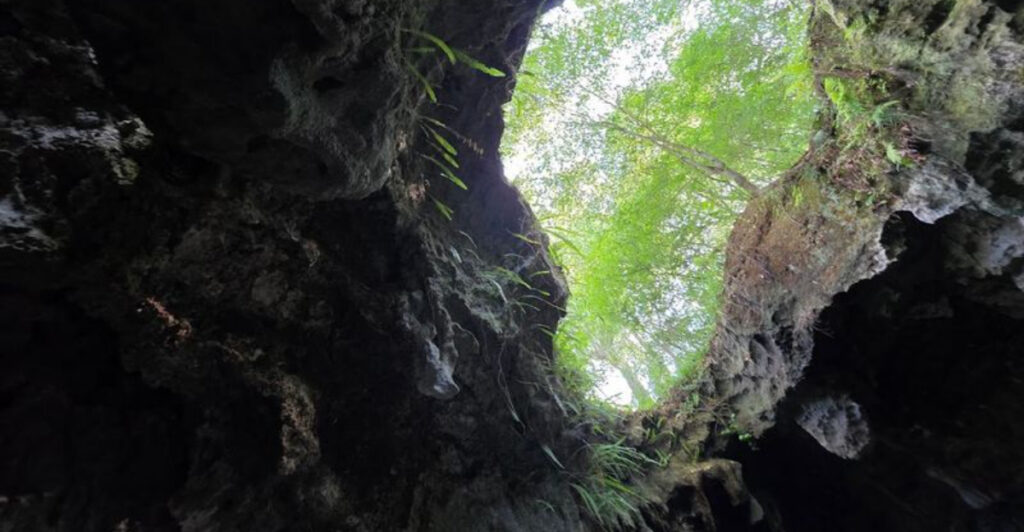 7 Florida Caves That Prove Adventure Lies Beneath The Surface