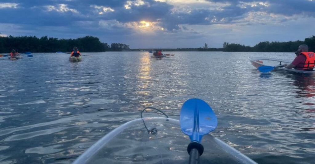 9 Best Places To See Bioluminescence In Florida By Kayak