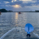 9 Best Places To See Bioluminescence In Florida By Kayak