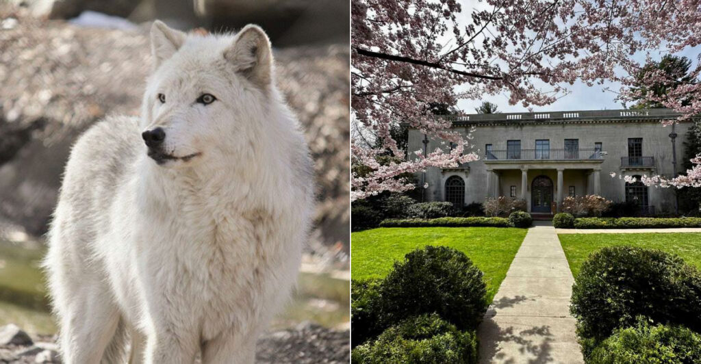 9 Hidden Gems in New Jersey That Turn “Just Once” Into a Tradition