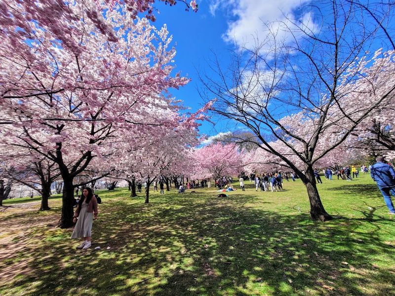 Branch Brook Park - Newark & Belleville