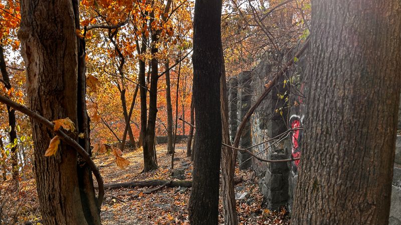 Trail Access and Navigation