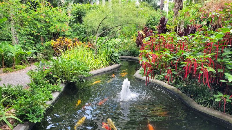 Koi Ponds Worth Every Minute of Your Time