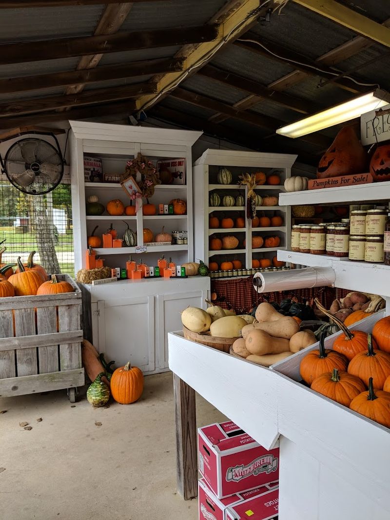 Fall Visits Are a Whole Different Experience