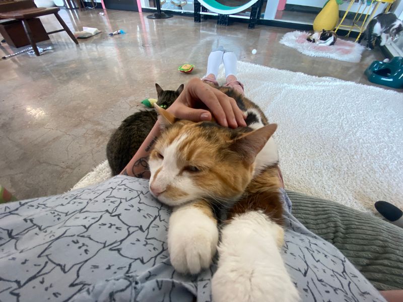 Meet Your Future Best Friend