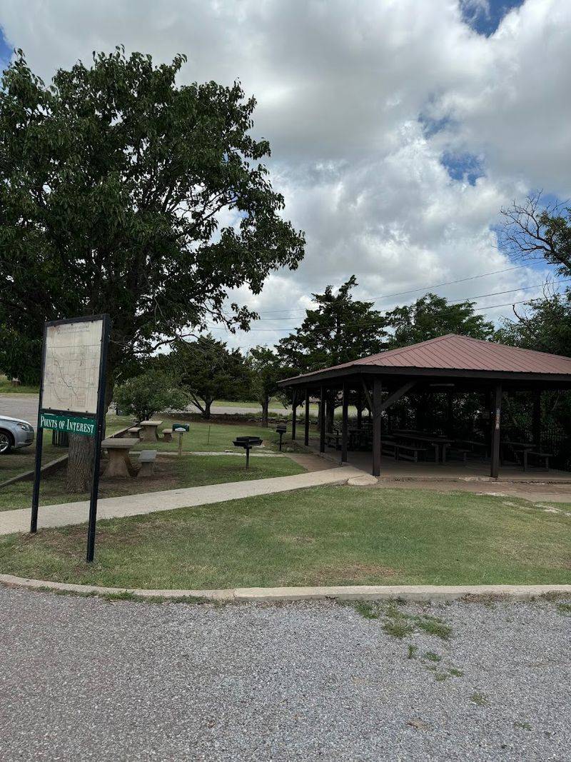 Camping Under the Stars