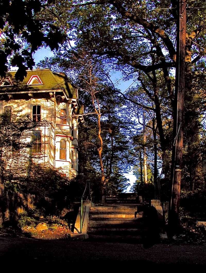 Nature as a Neighbor