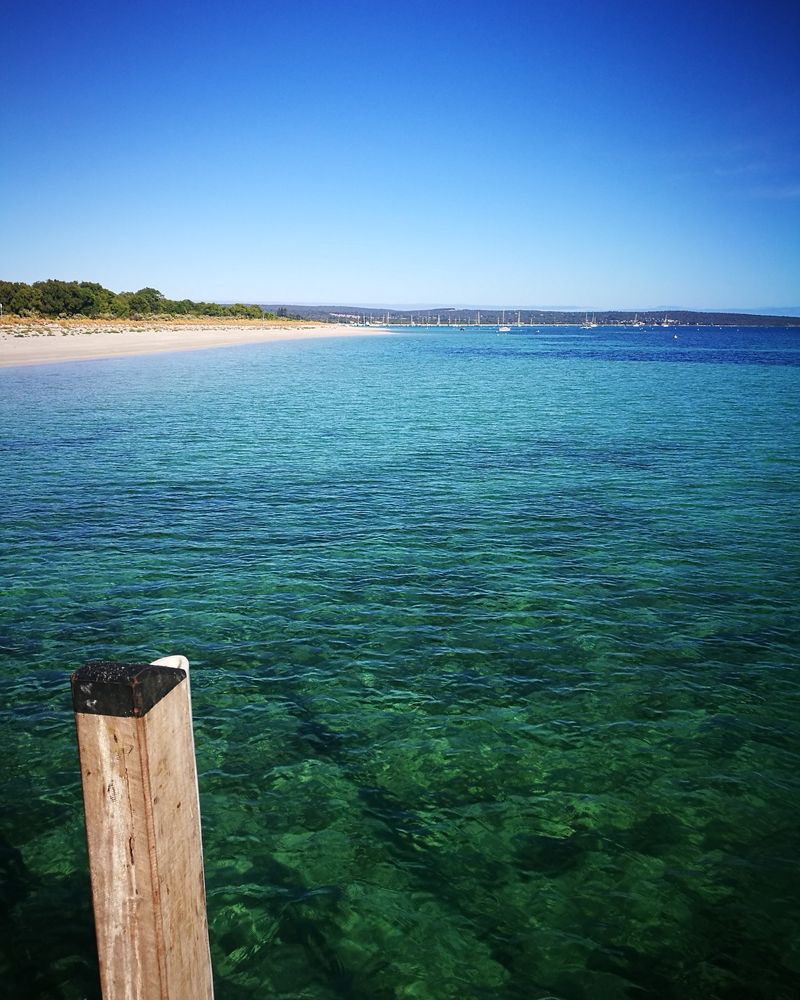 The Alarm That Triggered a Race Against Time