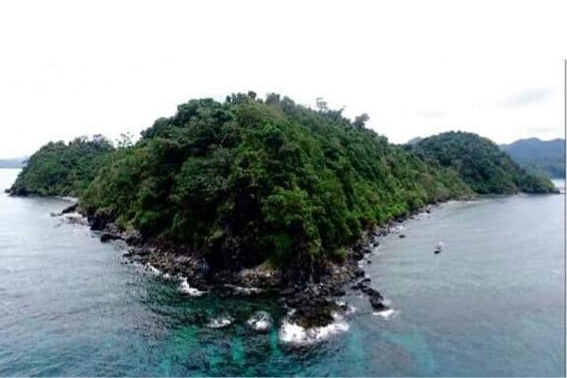 Not Anti-Men, Just Pro-Survival