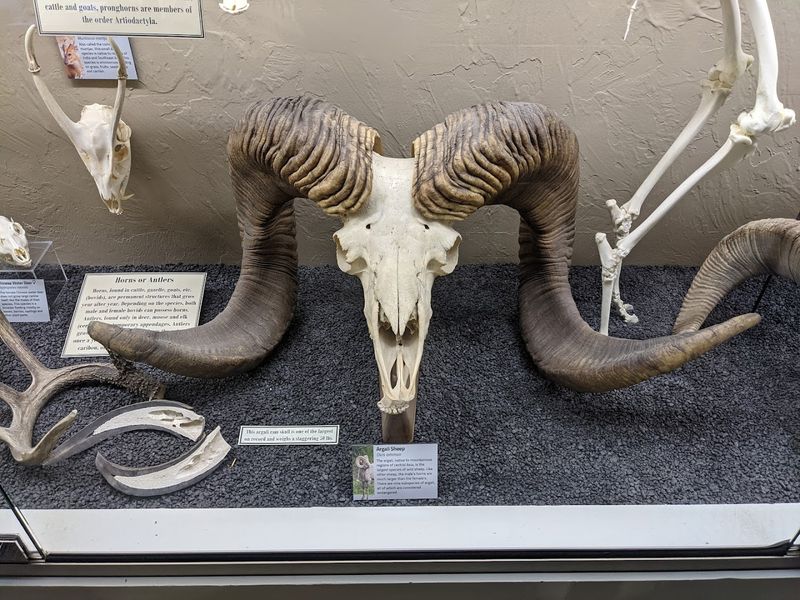 The Gift Shop Is a Destination on Its Own