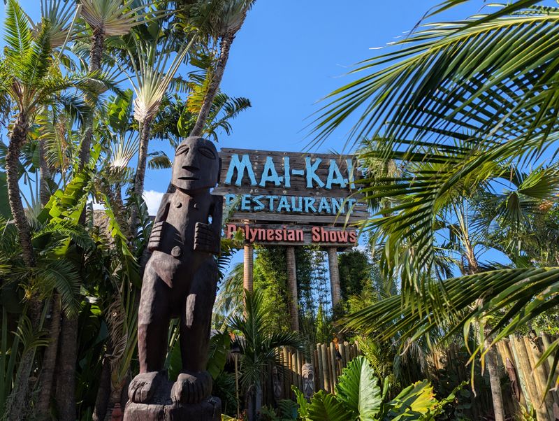 Hurricane Survival and Resilience