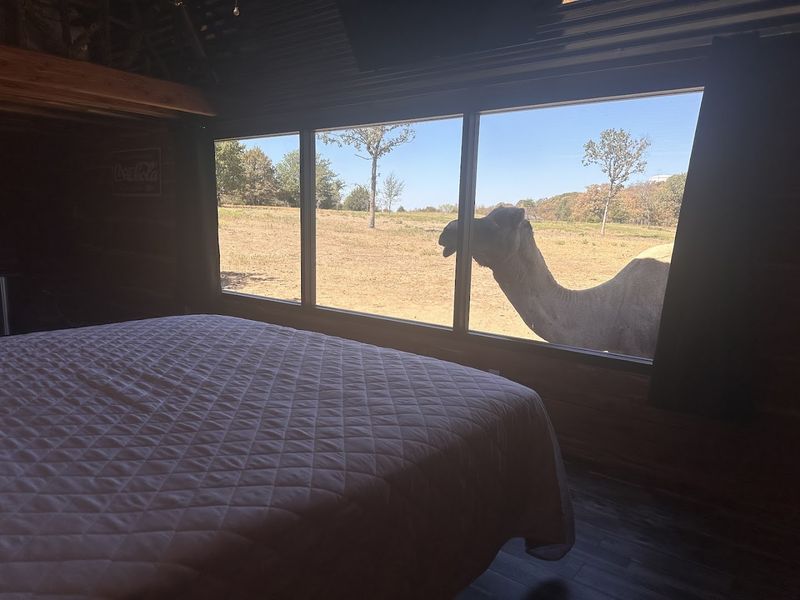 Why This Ranch Keeps Pulling People Back