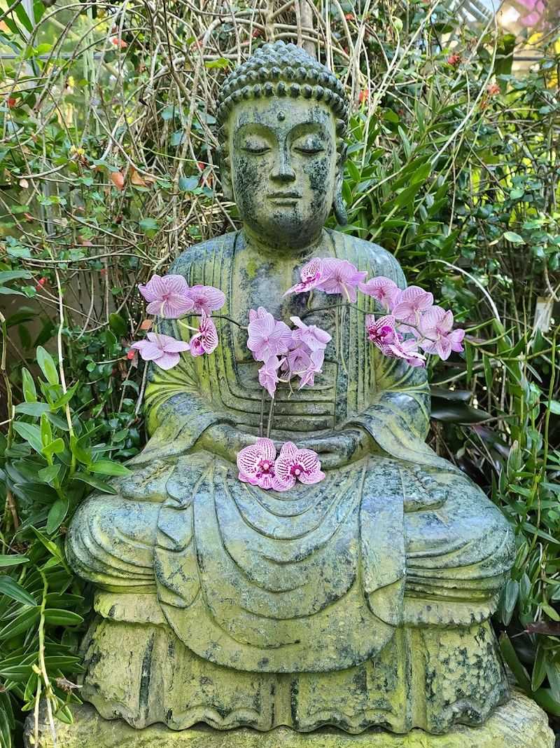 The Orchid Collection That Earns Every Superlative