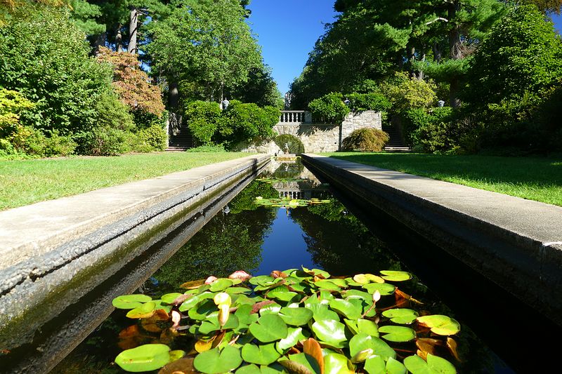 The Japanese Garden and Its Koi Pond