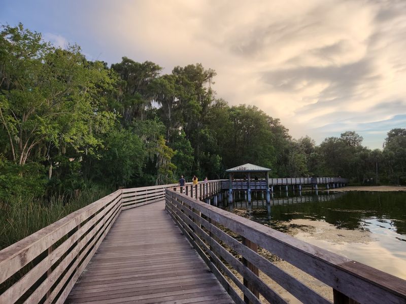 Practical Tips Before You Visit