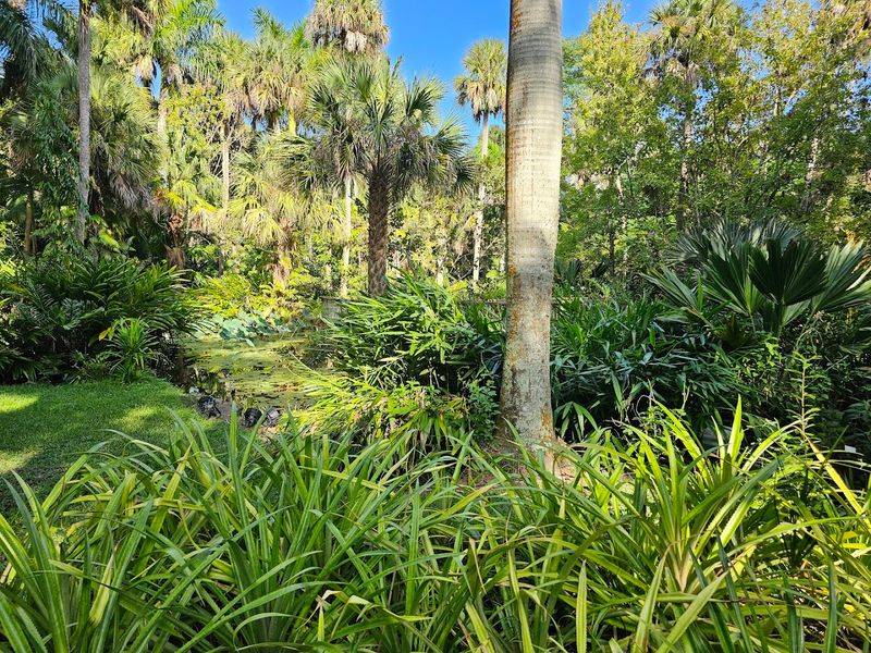 The Atmosphere That Pulls You In Immediately