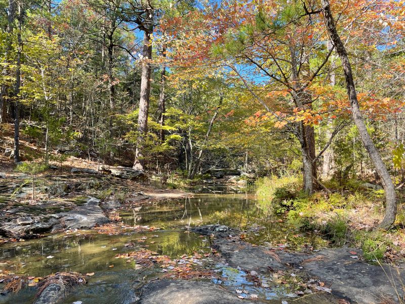 Ancient Roots Before the Outlaws Arrived