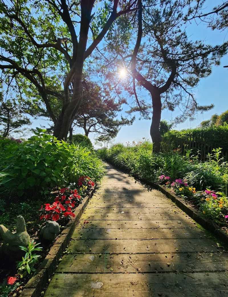 Gardens That Guide You Forward