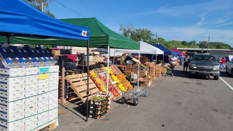 Operating Hours and the Best Days to Visit