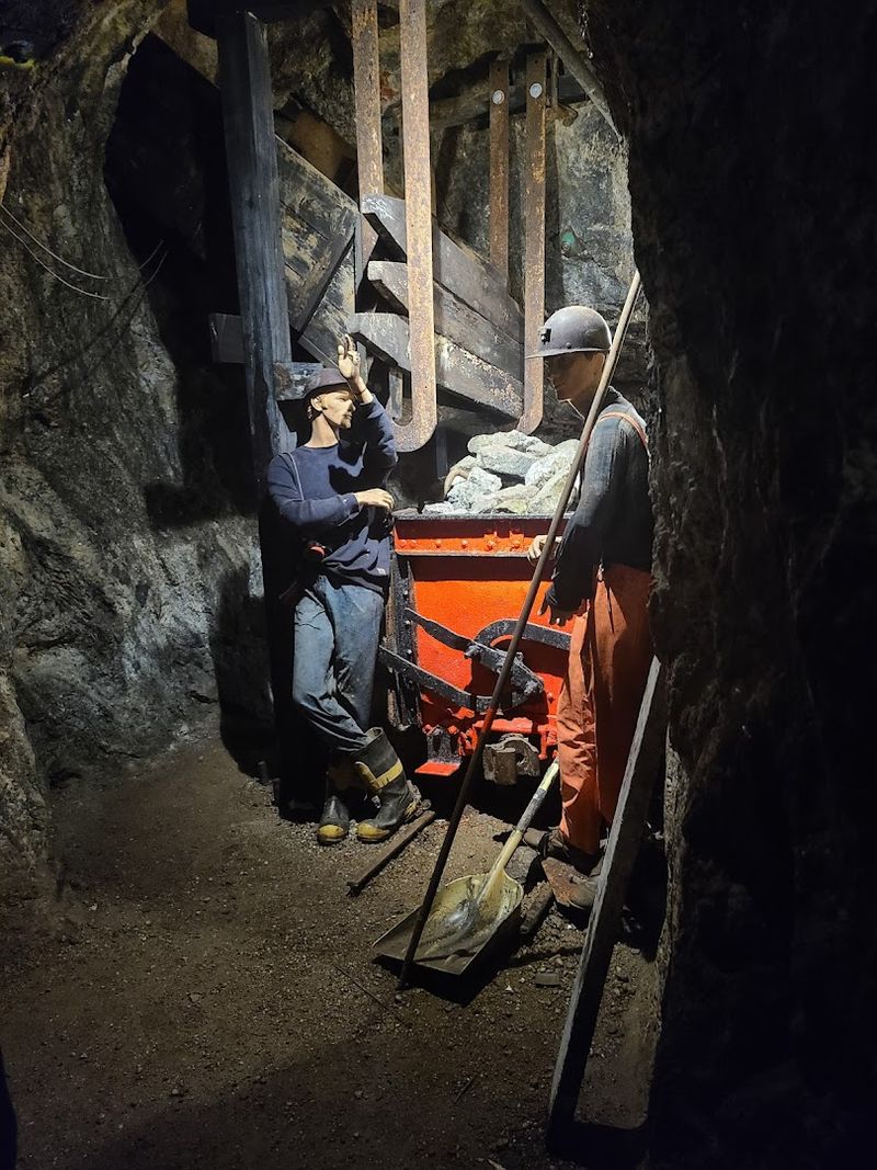 The Underground Tour Experience