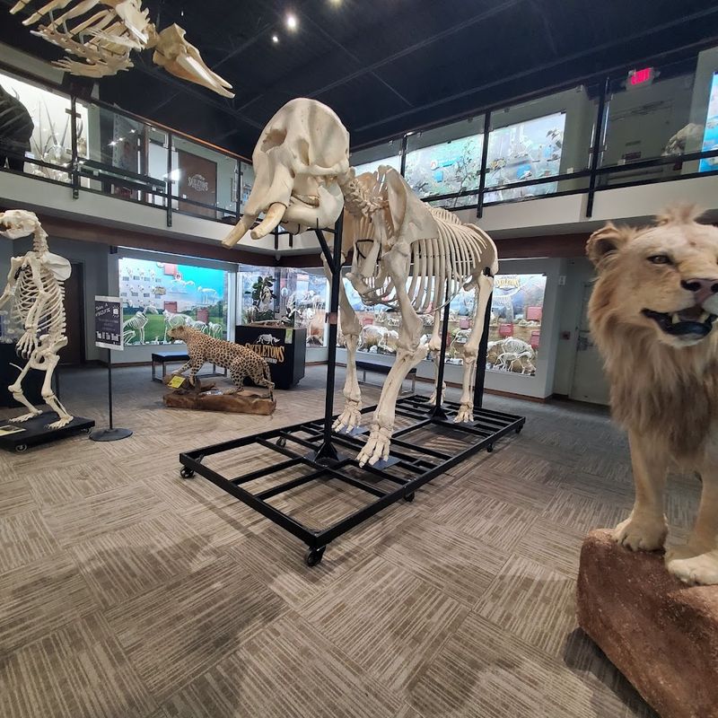 The Story Behind the Bones