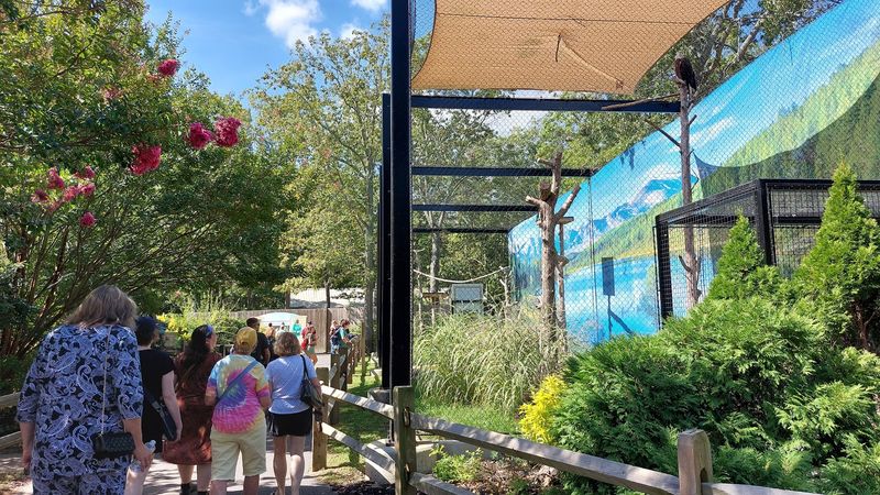 Picnic Areas and Practical Amenities Done Right