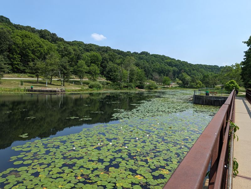 Photography Bridges And Reflections