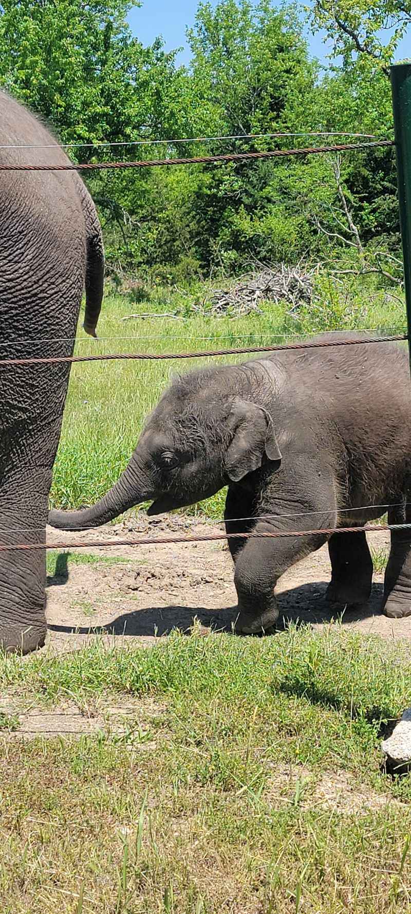 Meeting the Residents