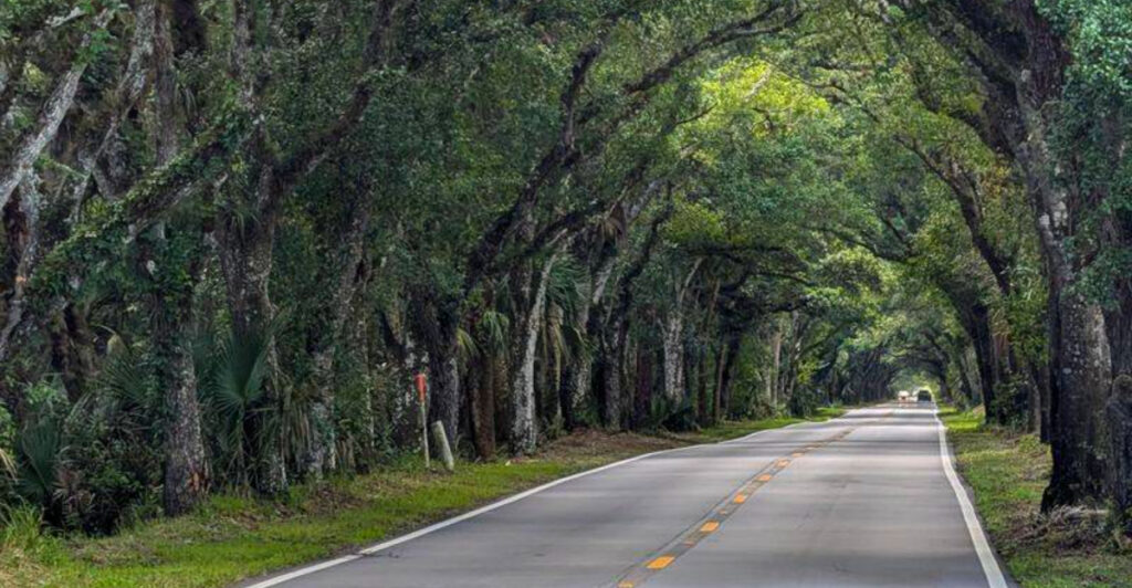 A Scenic 12-Mile Drive Through Florida That Leaves a Lasting Impression
