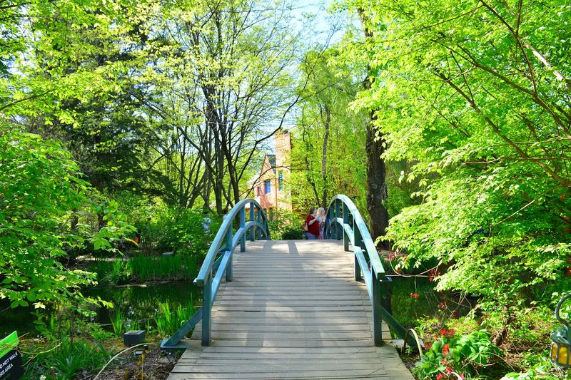 Monet's Blue Bridge and the Impressionist Recreations