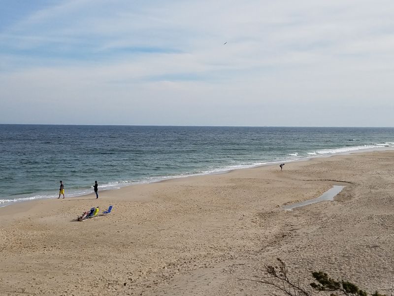 The Beach, Plain And Simple