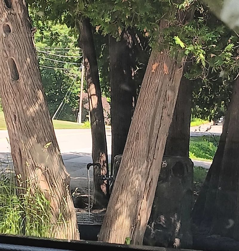 The Drive Out to Onekama and What You Will See