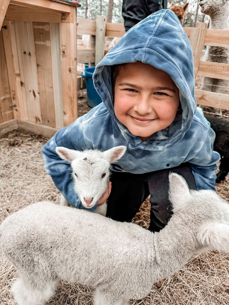 Perfect for Families With Young Children