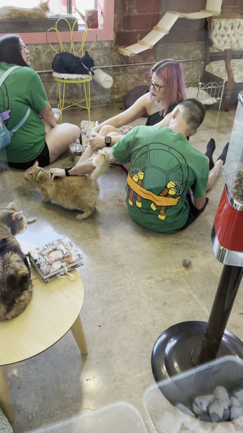 Supporting Local Animal Rescue Efforts