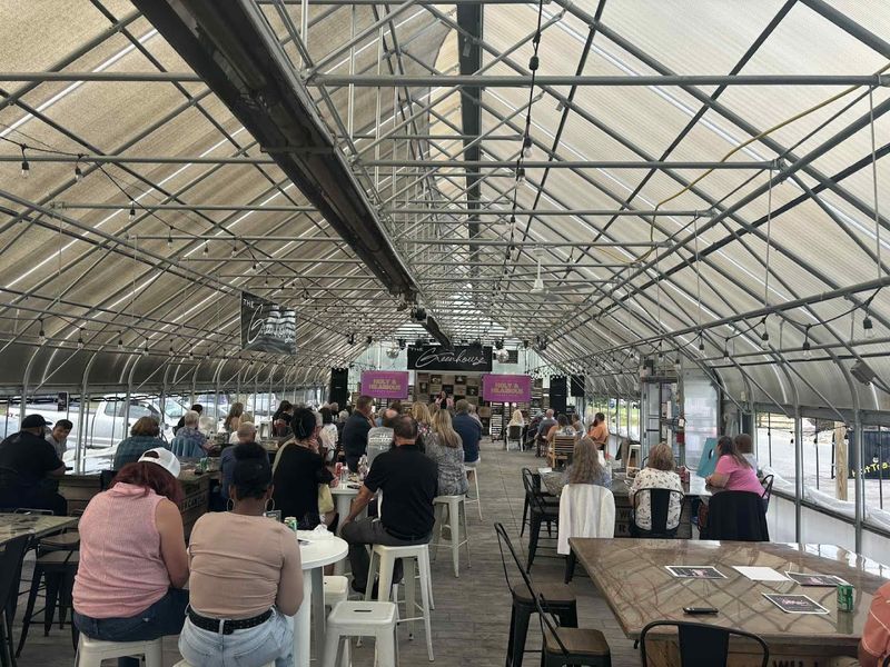 The Greenhouse Aesthetic: What Makes the Space Feel Different