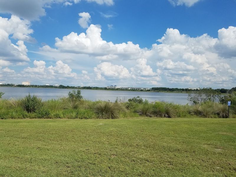 Sand Lake Views That Stop You Mid-Step