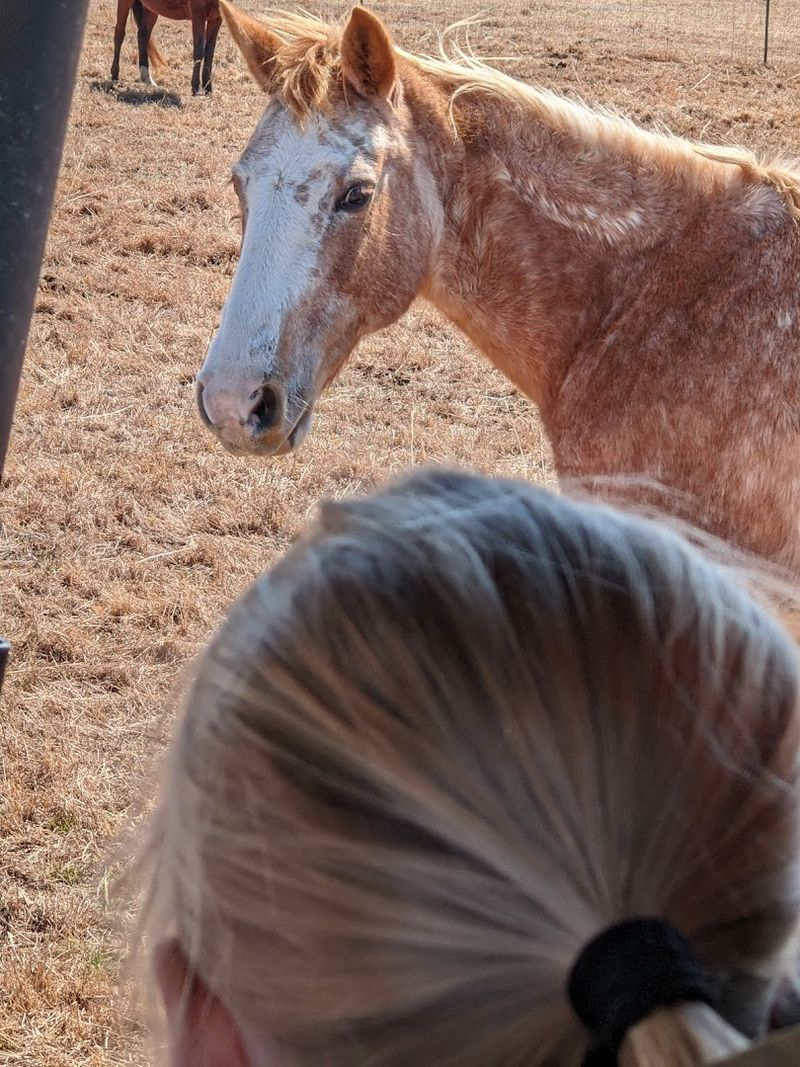 Tours That Bring You Face to Face with Freedom