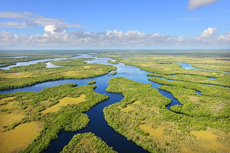 Everglades National Park — Florida, USA
