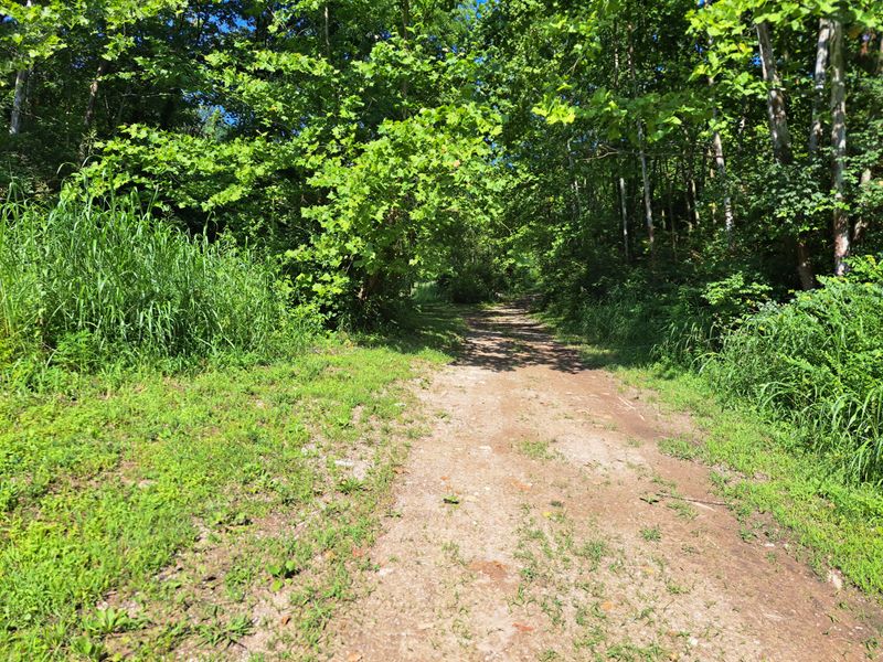 Why This Park Matters Now