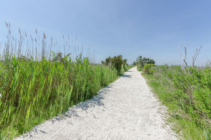 Best Seasons And Timing