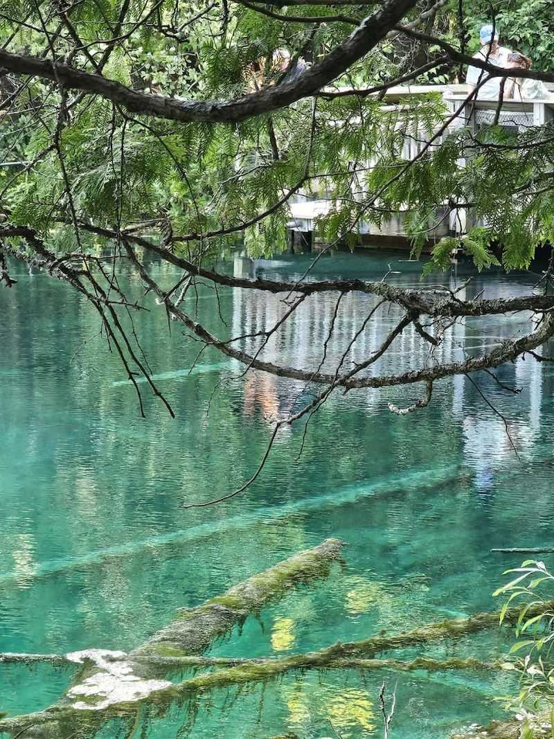 Photography Tips Without The Glare