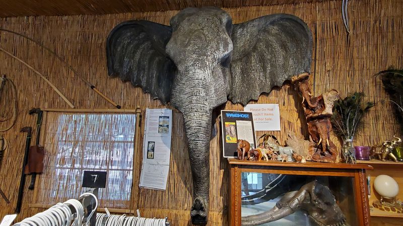 The Gift Shop and Supporting the Mission