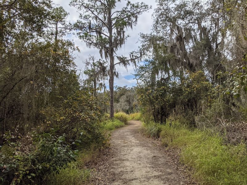 What the Nature Nook Area Offers