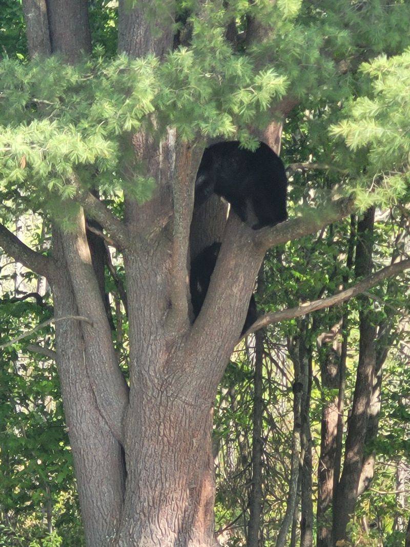 Gift Shop Finds and Takeaways